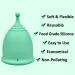 Buy SHORDY Menstrual Cup (Small) - Eco-Friendly Copa Kit for Women Up to 12 Hours Comfort Soft & Flexible - International Shipping Available - Buy Online on GoSupps.com