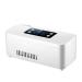 RZM Portable Insulin Cooler Case Keeping Mini Insulin Cooler Car Refrigerator Keeps Diabetes Medication Cool and Insulated (Size : with Lithium Battery)