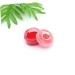 FOMIYES DIY Lipstick Powder Pigments - Premium Raw Materials for Custom Lipstick Creation - Buy Online on GoSupps.com
