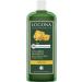 LOGOCOS Naturkosmetik AG Volume shampoo beer & organic honey - Buy Online on GoSupps.com