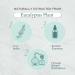 Plant of Life Essential Oil - 100% Pure and Natural - Therapeutic Grade Essential Oil with Dropper (Eucalyptus 2 oz (60mL)) - Buy Online on GoSupps.com