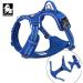 Truelove No Pull Dog Harness - Adjustable Reflective Pet Vest with Handle | Soft Padded TLH56512-M Blue - Ideal for All Breeds Worldwide - Buy Online on GoSupps.com