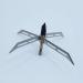 Savage Village Turkey Hunting Broadheads 160 Grain - 6 Pack, 4 Cutting Dia - Buy Online on GoSupps.com