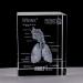 Model of The Human Respiratory System 3D Carved Crystal Medical aids - Buy Online on GoSupps.com