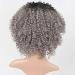 Rainbow Snow Curly Wig for Women - Afro Gray Mix Synthetic Hair with Dark Roots | Heat Resistant Short Ombre Wig for Daily Wear - Buy Online on GoSupps.com