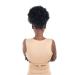 Afro Ponytail Drawstring - Short Curly Hair Extension Updo for Natural Black Hair | 1pc - Buy Online on GoSupps.com