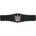 WWE RAW Women's Championship Mini Replica Title Belt - Official Authentic Wear - Buy Online on GoSupps.com