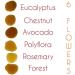 Honey Avocado Flower 100% Raw Pure Spanish Natural Unpasteurised Fresh Certified Avocado Flower Honey 1 Kg - Buy Online on GoSupps.com