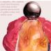 Kylie Cosmetics by Kylie Jenner cosmic eau de parfum 50 ml | ambery floral ambery floral 50 ml - Buy Online on GoSupps.com