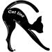 LALAFINA 2pcs Eyeshadow Stencil Cat Eye Stencil Eyeliner The Cat - Buy Online on GoSupps.com