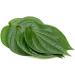 Seelans Fresh Betel Leaves | Beetle Leaves 10pcs | Pan Leaves | Leaf Betel | Fresh Leaf | Used for Pooja & Edible | Indian Origin | Approx 50G Next Day Shipping - Buy Online on GoSupps.com