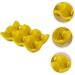 Angoily 1pc Egg Tray Egg Display Tray Red Egg Holder Egg Holder for Refrigerator Mustard Household Ceramics - Buy Online on GoSupps.com