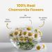 SM Cha.mom.ile Tea - 30g - Over 30 Cups || Sleep and Relax || Herbal Tea - Caffeine Free - Flower Based - Vegan - Bitter Free - Non-GMO - 100% Natural | Presented in Shark Aquarium - Buy Online on GoSupps.com