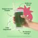 Bloom Nutrition Super Greens Powder Smoothie & Juice Mix - Probiotics for Digestive Health & Bloating Relief for Women Digestive Enzymes with Superfoods Spirulina & Chlorella for Gut Health (Berry) - Buy Online on GoSupps.com