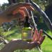 Herbo Hemp Moisturizing Body Oil - Organic After Shower Bath Oil for All Skin - Scented Cruelty-Free & Paraben-Free - 2 oz - Buy Online on GoSupps.com