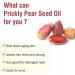 Salvia Camphor Oil (Cinnamonutn camphora) Natural Pure Undiluted Uncut Carrier Oil 100ml Pricky Pear Seed 15 ml (Pack of 1) - Buy Online on GoSupps.com