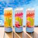 Cactus Water Variety Pack - 12 Fl Oz Prickly Pear Drink with Antioxidants & Electrolytes | Low-Sugar Non-Bubbly Hydration & Immunity Boost - 3 Delicious Flavors - Buy Online on GoSupps.com