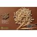 Buy gesundo ORGANIC Lupin Flour - High Protein White Sweet Lupine - 200g Can | Healthy Baking & Cooking - Buy Online on GoSupps.com
