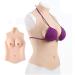 Knobco Half -length high collar realistic silicone breast shapes fake breast breasts Suitable for mastectomy prosthesis christmas halloween cosplay (color: white skin size: d 2000g) d 2000g white skin