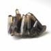 100g-150g Natural Smoky Quartz Crystal Rough Stone Cluster 1pc Crystal Cluster