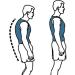 XS-5XL Plus Size Posture Corrector Back Brace | Upper & Lower Back Support for Women Men & Teens | Scoliosis & Hunchback Correction | Adjustable Shoulder Straightener in Black - Buy Online on GoSupps.com