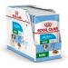 Royal Canin Mini Puppy Wet Food Pouches 85g (Pack of 48) Meat 48 count (Pack of 1) - Buy Online on GoSupps.com