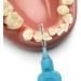 TePe Interdental Brushes Original Blue - 0.6 mm 8 Pieces | International Shipping Available - Buy Online on GoSupps.com