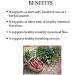 Indian Rhubarb (Rheum Emodi) 7 Oz (200g) - Immune Booster & Laxative Support by Bixa BOTANICAL - Buy Online on GoSupps.com