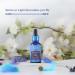 Blue Nectar Plum Face Serum for Acne and Marks | Oil-Free Solution for Oily Skin | Minimize Pores & Smooth Texture (8 Herbs 30ml) - Buy Online on GoSupps.com