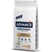 Advance Labrador Adult Dog Food with Chicken 12 kg - Buy Online on GoSupps.com