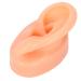 Silicone Ear Model Soft Simulation Hearing Tool Sound Aid Display M Fleshcolor with Black Cylinder Stand (Left Ear) 1 Count (Pack of 1)