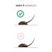 Aura Monaco Eyelash Glue Power Plus 5g | Allergy-Friendly Sensitive Lash Adhesive for False Lashes & Extensions | Ultra Strong & Quick Drying - Buy Online on GoSupps.com