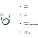 Shop Leash - Durable Rope Leash with Hand Loop | Basic 10mm 27 Colors 7 Lengths (3.00 m Green) - International Shipping - Buy Online on GoSupps.com