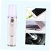 DRESSOOS Mini Face Humidifier Portable Facial Mist Sprayer Skin Care Face Sprayer Humidifier Hydrating Instrument Charge - Buy Online on GoSupps.com
