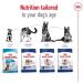 Royal Canin Maxi Dry Adult Dog Food 3kg - Buy Online on GoSupps.com