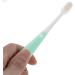Tovinanna Panda Toothbrush for Kids | Travel & Outdoor Baby Toothbrush | Best Children s Toothbrush for Healthy Smiles - Buy Online on GoSupps.com