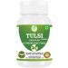 Tulsi Capsules 500 mg 60 Veg Capsules | Holy Basil Extract | Herbal Supplement | Plant-Based | Vegan-Friendly | No Preservatives | (Pack of 1) 60 Count (Pack of 1) - Buy Online on GoSupps.com