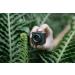 DJI Macro Lens - Enhance Your Aerial Photography - Buy Online on GoSupps.com