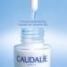 Caudalie Vinoperfect Brightening Dark Spot Serum Vitamin C Alternative - 62x More Effective than Vitamin C with Viniferine for a Visibly Brighter Even Complexion 30 mL (Pack of 1) - Buy Online on GoSupps.com