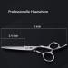 Dream REACH 6 Hair Cutting Scissors - Sharp Japanese Stainless Steel 440C Shears for Men & Women | Perfect Hairdressing Gift - Buy Online on GoSupps.com