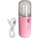 Machine d'humidificateur portable | Les vapeur du visage avec des portables de brume chaude face l'humidificationr | Nettoyage en profondeur Faces hydratantes sans fil vapeur | Cordles de voyage Pink - Buy Online on GoSupps.com