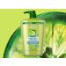  Garnier Garnier Fructis Strength and Shine Shampoo Pack of 2 for Normal Hair (2 x 1L) - Buy Online on GoSupps.com