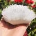 Crystal Natural Clear Quartz Crystal Cluster Minerals Great for Reiki Stone (Size : 500-600g) - Buy Online on GoSupps.com