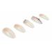 Ardell Premium Nail Addict Nude Light Crystal - 24 Piece Nail Kit with Adhesives & Tools | Shop Internationally - Buy Online on GoSupps.com