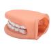 Mouth hand puppet educational dental care model with tongue for children's lessons