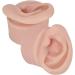 Ear Model Portable Jewelry Display 1 Pair Practice Ear Model for Piercing Salon for Novice (Medium Skin Color) - Buy Online on GoSupps.com