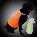 Villcase Reflective Safety Vest for Dogs | High Visibility Breathable Summer Clothing for Walking Running & Hiking | Fluorescent Orange Size M - Buy Online on GoSupps.com