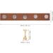 Baluue Press On Nail Stand Manicure Nail Holders Diy Nail Crystal Holder Magnetic Practice Stands Fake Nails Display Holders - Buy Online on GoSupps.com