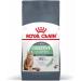 Royal Canin Digestive Care Adult Dry Cat Food 400g (Pack of 4) Variety 400 g (Pack of 4) - Buy Online on GoSupps.com