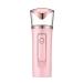 Aolyty Nano Facial Sprayer Portable Steamer Cool Mist Moisturizing and Hydrating Humidifier for Skin Care SPA USB Charger with Power Bank (Pearl Pink)